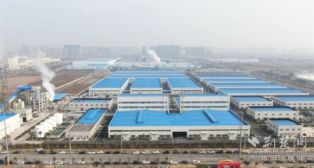 園區(qū)企業(yè)。記者 魯偉龍 攝.webp.jpg