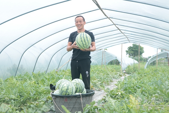 周碾村西瓜基地  曹錦軍.jpg