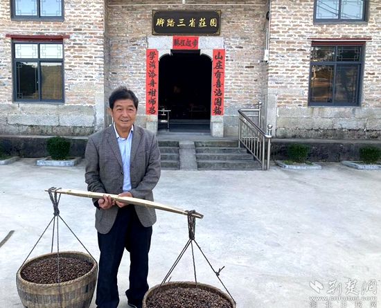 何道關與自己種的油茶果。黃錚 攝_副本.jpg.jpg