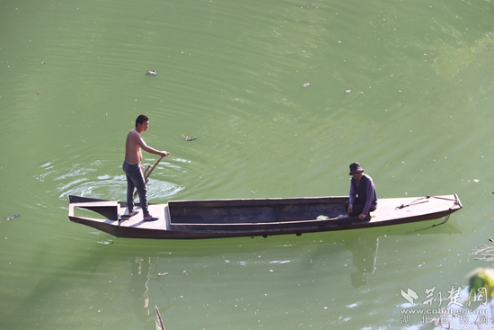 乘船出行、打魚(yú)至今都是盤(pán)山村民生活的一部分 黃錚 攝_副本.jpg